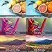 PRO 67MM Lens Filters Kit (UV FLD CPL) + 67mm Close Up Macro Filters (+1 +2 +4 +10) + 67mm ND Filter Kit (ND2 ND4 ND8) + 67mm Lens Hood + Xtech Camera Accessories Starter Kit + More