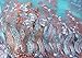 5 Yards African Lace Fabrics Nigerian French Beaded Tulle Fabric (Blue)