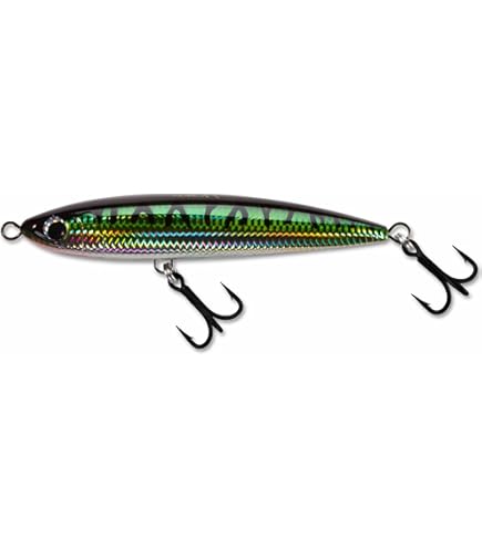 Amazon.com : TP-ORCA : Sports & Outdoors