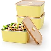 fecoqi 3 PCS Stainless Steel Food Storage Containers with Lids (20oz), Reusable Snack Containers with Lids for Kids,Leak Proof & Airtight,Metal Containers for Meal Prep,Candy,Fruit,Snack