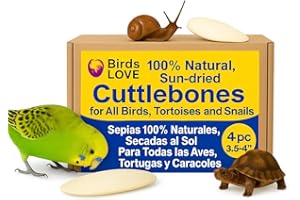 Birds LOVE 3.5 to 4" Natural Cuttlebone for Birds & Reptiles – 100% Pure Sun-Dried Calcium Supplement – Supports Beak, Bone & Shell Strength – Safe Daily Use – 4 Pack with Holder