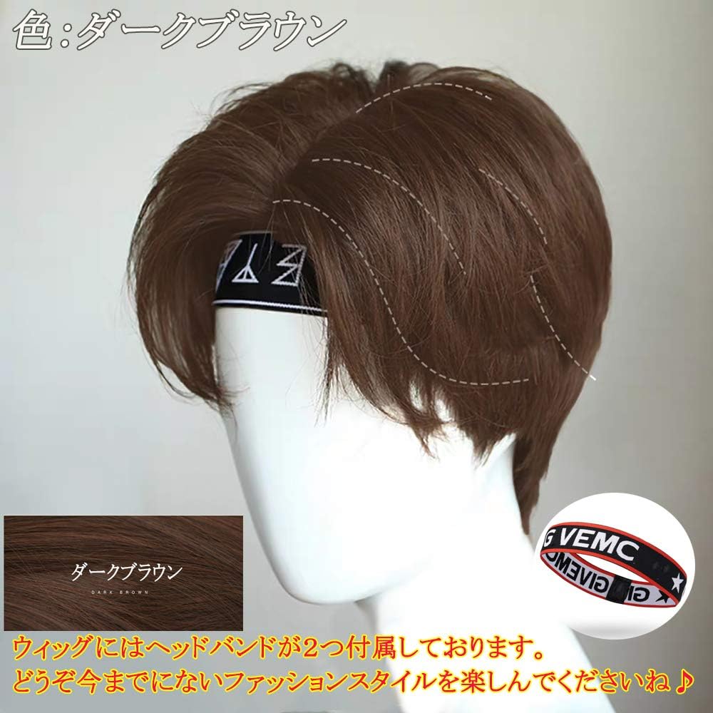 Amazon Limakara ウィッグ かつら ショート メンズ 自然 原宿 黒 ブラウン 男装 モテ髪 イケメン ファッション 耐熱 男女兼用 ヘアネット 櫛 ヘッドバンド付き ダークブラウン ウィッグ 通販