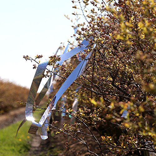 100-Foot by 2-Inch Holographic Bird Scare Ribbon, Double Side Laser Bird Scare Tape