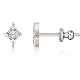 Limerencia F136 Pure Titanium Hypoallergenic Implant Grade Studs, G23 Small Dainty Cubic Zirconia Earrings for Women's Sensitive Ears