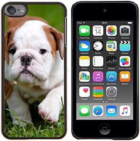 God Garden - FOR Apple iPod Touch 6 6th Generation - Bulldog Bull Dog Pet Puppy - Case Cover Protection Design Ultra Slim Snap on Hard Plastic