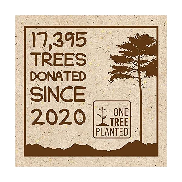 Seedzbox-Ultimate-Deluxe-Squirrel-Food-Seed-and-Nut-Feed-Mix--Natural-Treats-and-Snacks-for-Wild-Squirrels--Monkey-Nuts-Flaked-Peas-Whole-Maize-and-Wheat-Healthy-Fats-and-Vitamin-E--900g-Bag Squirrel Food Seed and Nut Feed Mix 900g - SeedzBox Deluxe Squirrel Food - Natural Treats and Snacks for Wild Squirrels…