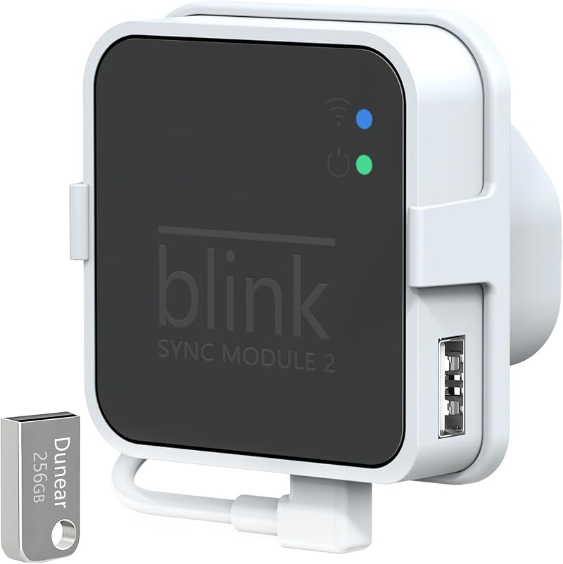 Dunear 256GB USB Flash Drive & Outlet Mount for Blink Sync Module 2