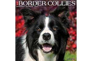 Just Border Collies 2025 12" x 12" Wall Calendar