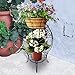 Amagabeli Plant Stand 20 inch Tall 2 Tiers Rustproof Flower Pot Rack with Curved Legs Indoor Outdoor Iron Art Planter Holders Garden Patio Steel Metal Iron Pots Containers Supports Corner Black
