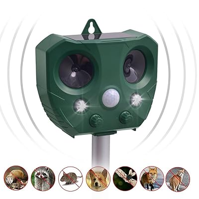 Anti Nuisible Ultrason Chat Gamboahinestrosa