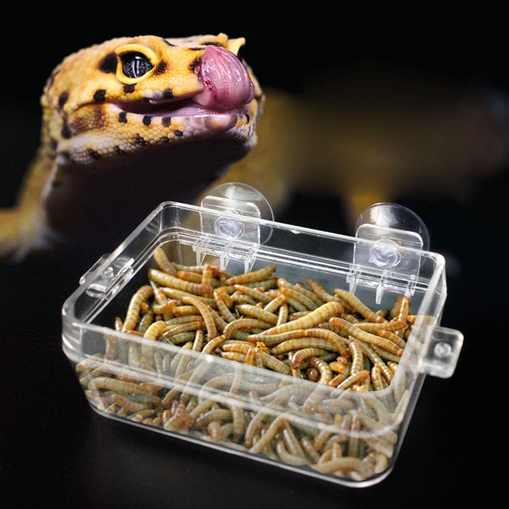 reptile food shops near me
