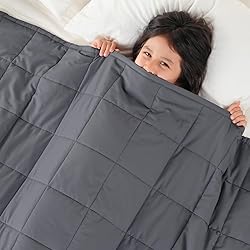 Topblan 3 lb Weighted Blanket, 36" x 48" Small