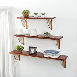 Z Metnal Mid Century Modern Shelf Brackets, Brushed