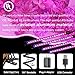 Grow Light Bulb Indoor Plant - Grow Light For Indoor Plants - Led Grow Light - Plant Lights With Clip - Growing Lamp For Plants Growth with Timer