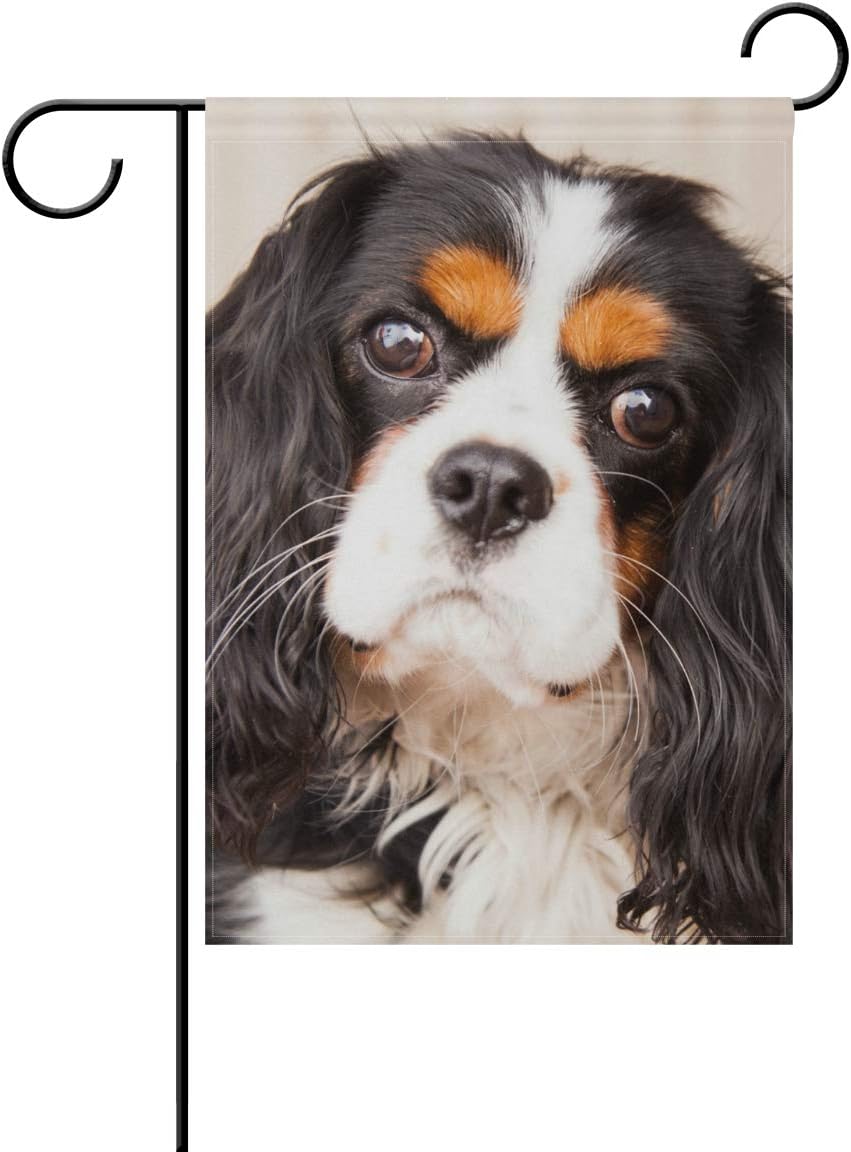 Hokkien BlueViper Puppy Cavalier King Charles Spaniel Garden Flag Double Sided 12 x 18 Inch, Yard Flags, Decorative Small Garden Flags, Outdoor Lawn and Garden Décor
