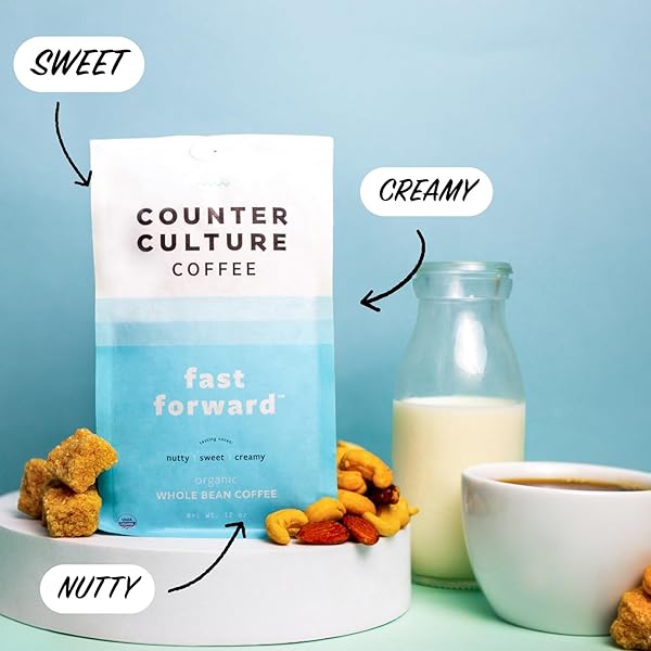 COUNTER CULTURE COFFEE – WHOLE BEAN COFFEE – FRESHLY ROASTED COFFEE BEANS – PREMIUM COFFEE – MULTIPLE FLAVORS – ONE 12 OUNCE BAG OF EACH (FAST FORWARD)