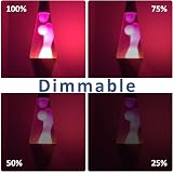 Caldarax R39 E14 25W Lava Lamp Bulbs 240V Warm White 2700K 3 Pack view 3