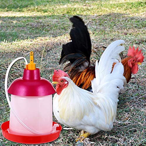 Cabilock Geflügel Wasser Fütterung Gerät Hochleistungshähnchen Hühnerfütterungsglas Geflügel Huhn Wasserkrug Wassersystem Für Geflügel Hühnerwassertrinker Gleiten Trinkbecher Vögel Plastik – Bild 3