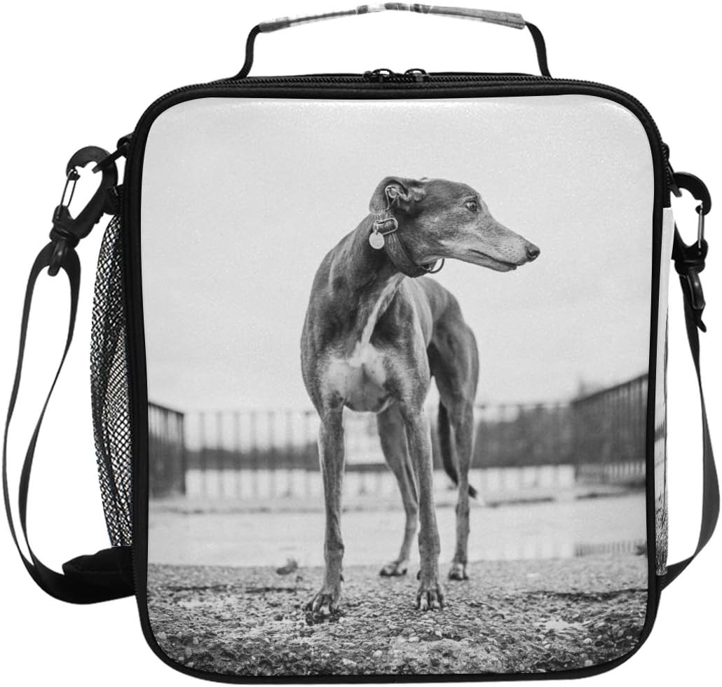 greyhound luggage