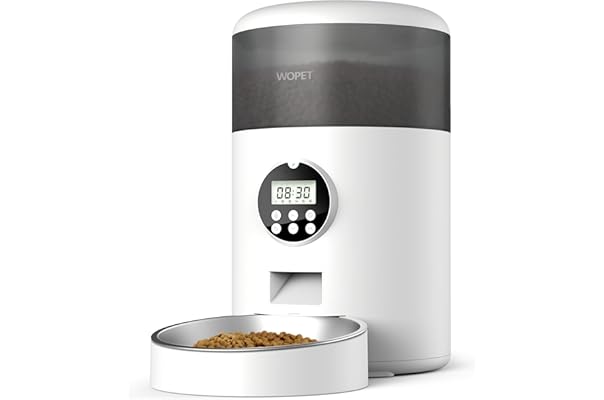 automatic cat feeders amazon