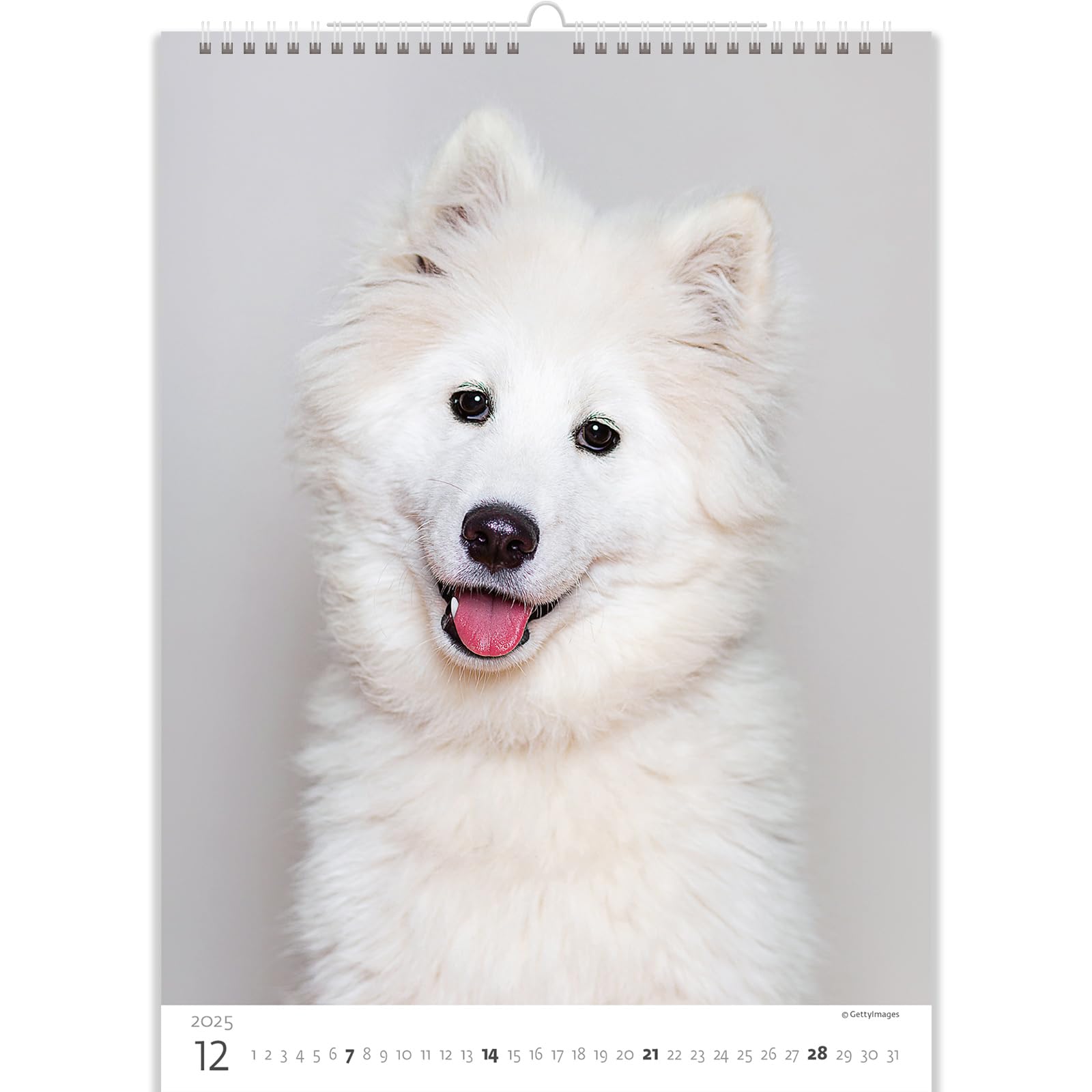 View 8