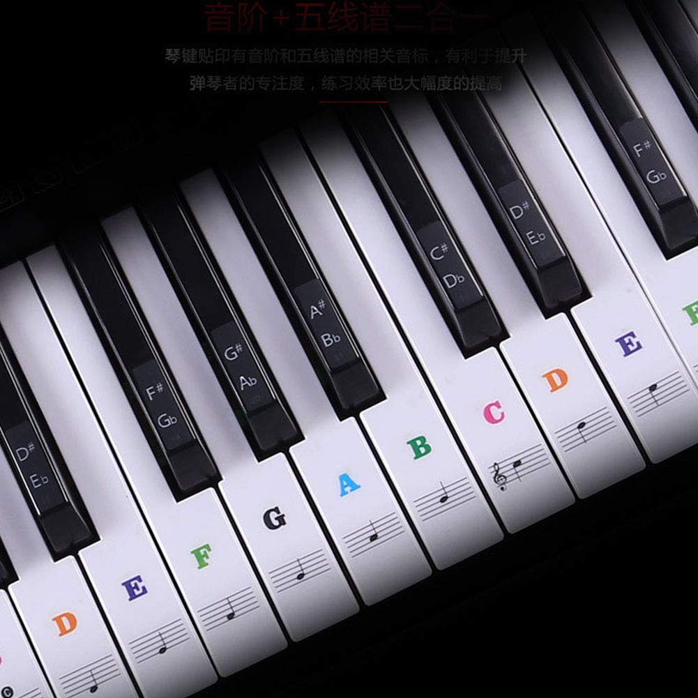 Alnicov Piano Keyboard Stickers for 88/61/54/49/37 Keys,Leave No Residue,Removable Piano Key Stickers for Piano Beginners Learning Piano or Keyboard