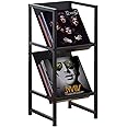 VonDream Conceptual Design Vinyl Record Storage, 2 Tier Black Metal Record Holder, Stylish Storage Solution for Your Collection