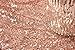 TRLYC 14X108-Inch Real Rose Gold Sequins Square Tablecloths and Table Runner with Wedding,various Sizes