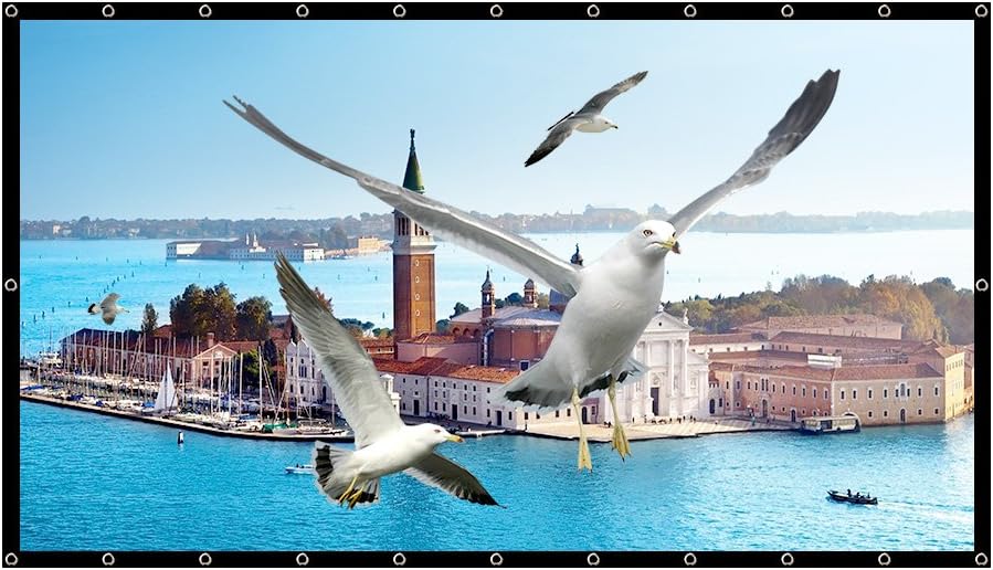 150 Inch Projector Screen Foldable PVC Material HD Portable Projection Movies Screen 16 : 9 for Indoor and Outdoor Home Theater (1.1 Gain, Easy to Clean, Waterproof)