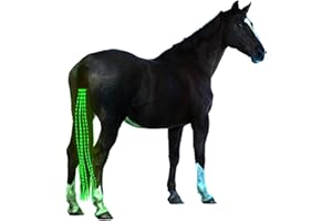 A&K L'YDIA Horse Tail LED Light Bar,100cm/40inch Horse Equipment Riding Tail Trapings Equestrian Type-c Charge Horse Tail Bag for Horse Shows (Green)