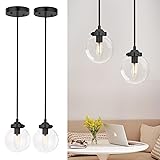 irotine Modern Black Farmhouse Clear Glass Globe