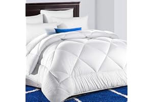 TEKAMON All Season Queen Comforter Winter Warm Soft Quilted Down Alternative Duvet Insert with Corner Tabs, Fluffy Reversible Collection for Hotel, Snow White, 88 x 88 inches
