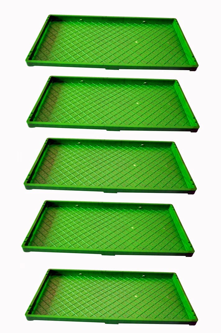 Microgreen Growing Tray/Wheatgrass Tray Set of 5 Amazon.in Home