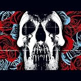 DEFTONES                                           image