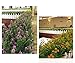 Bird Fiy Babys Breath Artificial Flowers,4 Bundles Gypsophila Flower Wedding Home Decor Gift(Orange)