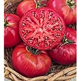 Marde Ross &amp; Company Pink Ponderosa Heirloom Tomato Seeds - Large Tomato - One of the Most Delicious Tomatoes for Home Growing, Non GMO - Neonicotinoid-Free