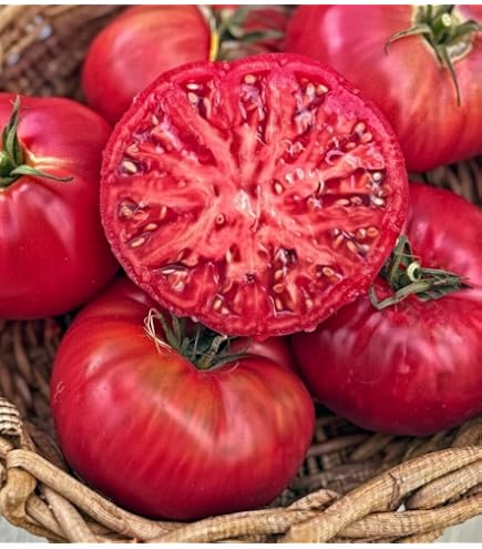 Amazon.com : Sweetie Seedless Tomato Seeds : Patio, Lawn & Garden