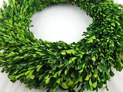Tradingsmith Preserved Boxwood Wreath - 22"