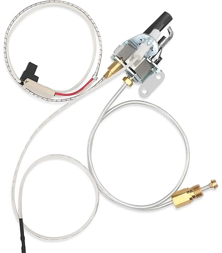 Bradford White Warranty Check Bradford White 239-43676-03 Thermal