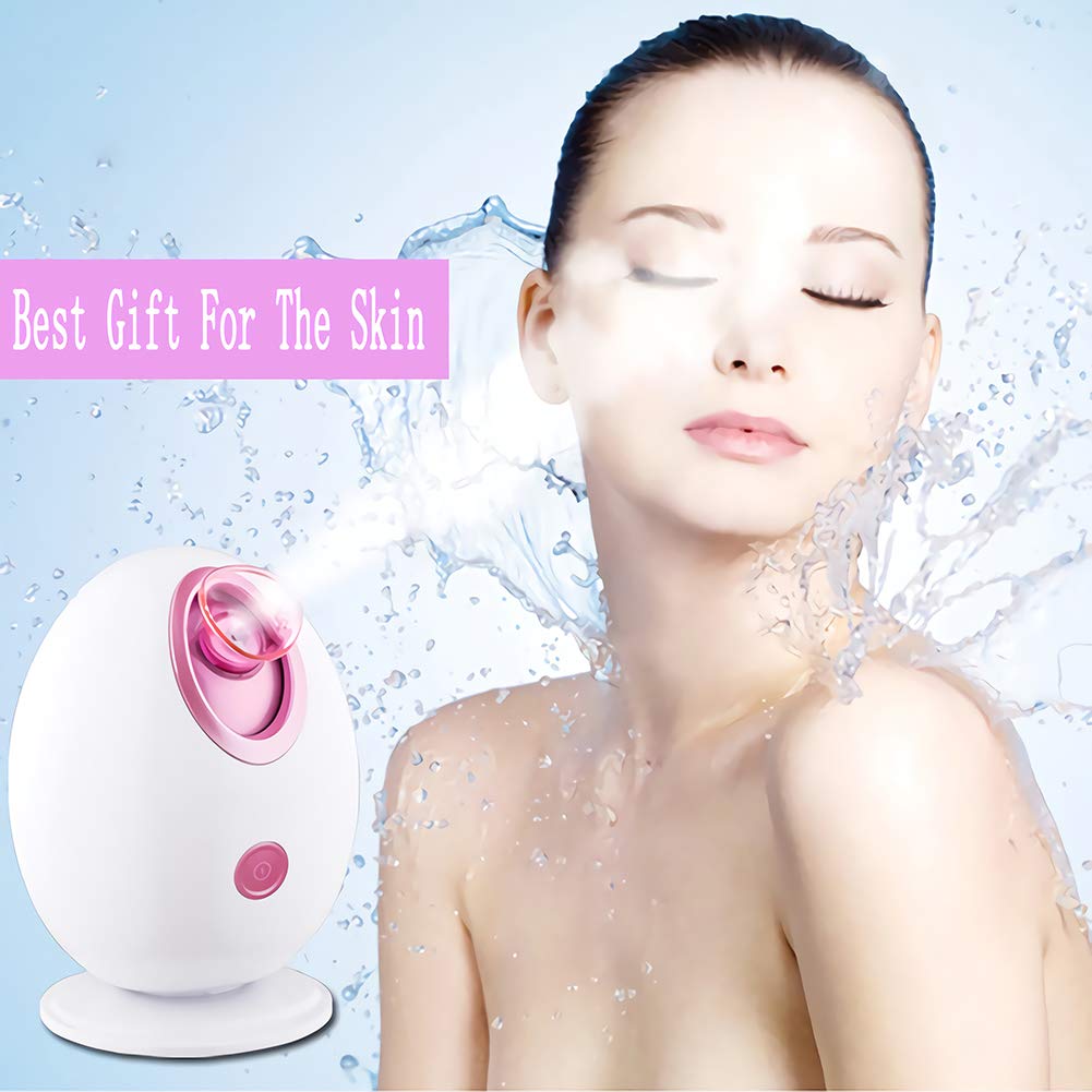 YIVIYAR 4 in 1 Nano Ionic Facial Steamer, Warm Mist Face Humidifier, Sauna Home SPA Quality Facial Steamer for Women with Free 4 Pieces Blackhead Remover Kit and Hair Band(Egg Shape, Pink): Beauty