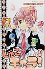 しゅごキャラ! 第11巻