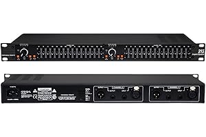 RQG Digital Graphic Equalizer, Dual Channel 15-Band Stereo Equalizer for Home Audio, Professional Stereo EQ DJ Equalizer, 1U Rack Mount, By-Pass & Low-Cut Switch, Noise Reduction (EQ-215)