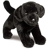 benson black lab