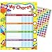 Trend Enterprises Owl-Stars! Chore Charts, (Pad of 25) (125 Piece), 8-1/2