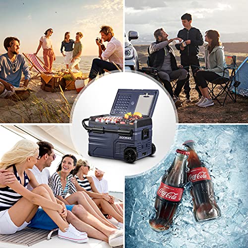 bodega 12v compressor fridge