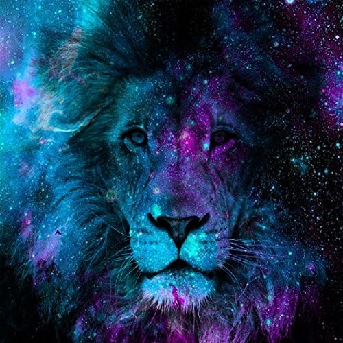 Pioenfly Galaxy Starry Space Lion Painting Home Decorative Fashion Canvas Wall Art 12"x 12"