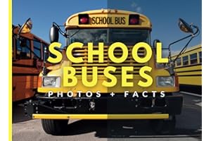School Buses: Photos + Facts