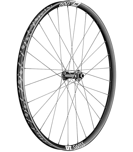 Amazon.com : Dt Swiss X 1900 Spline 25 29In Boost Wheel Rear