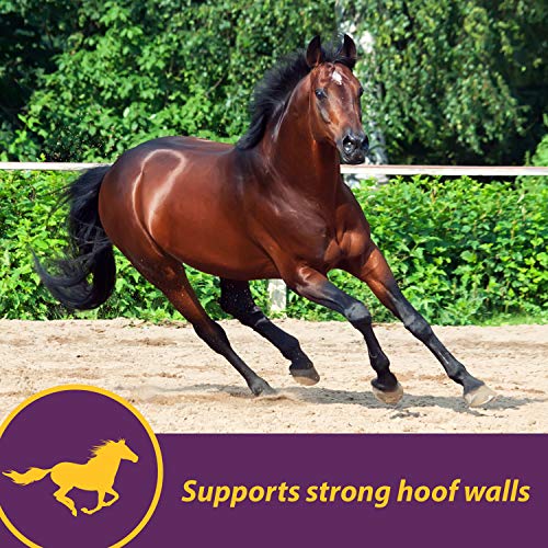 Horse Health Vita Biotin Crumbles horse hoof Supplement, Helps maintain