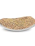 Todd's Seeds Sprouting Seeds Radish Mix, Daikon